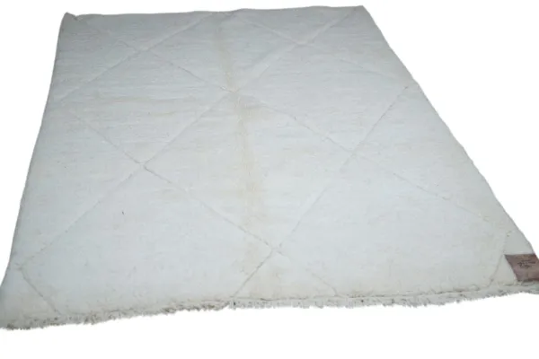 Beni ouarain 19470 257cm x 166cm