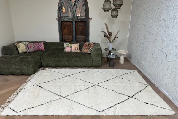 Beni ouarain 17017 298cm x 203cm  