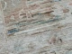 Handgemaakt vloerkleed uit Afghanistan 347cm x 260cm