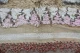 beni mguild 45013 310cm x 148cm