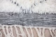 Beni ourain 15206 270cm x 165cm