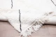 Beni ouarain vloerkleed nr.16813 308cm x 215cm