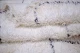 Beni ouarain 26910 310cm x 212cm 