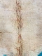 beni mguild vloerkleed 62307 310cm x 183cm