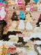 Boujaad 48416 265cm x 175cm  