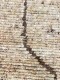 Handgeknoopt vloerkleed 83001 310cm x 245cm