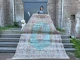 kirman vloerkleed 59629 330cm x 229cm
