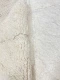 Beni ouarain 12031 300cm x 198cm