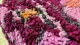 Ronde Marokkaanse Poef nr.22101 60cm x 25cm incl. vulling  